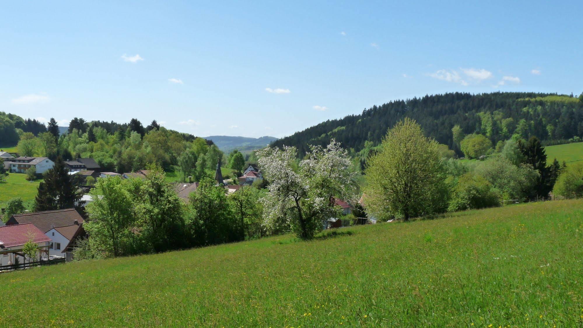 Ringhotel Siegfriedbrunnen Grasellenbach Exterior photo